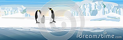 A family of realistic imperial penguins with a chick. The glacier and the snow-covered plain. Cold sea or ocean Vector Illustration